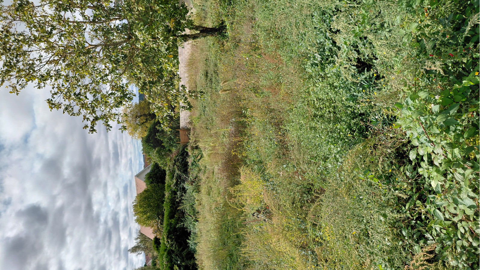 Terrain constructible de 519m2 à Vaux-sur-Seine