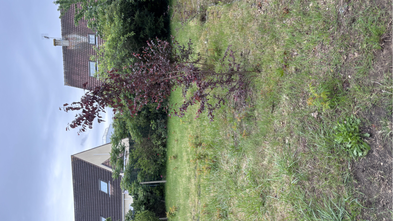 Terrain constructible de 293m2 à Verneuil-sur-Seine