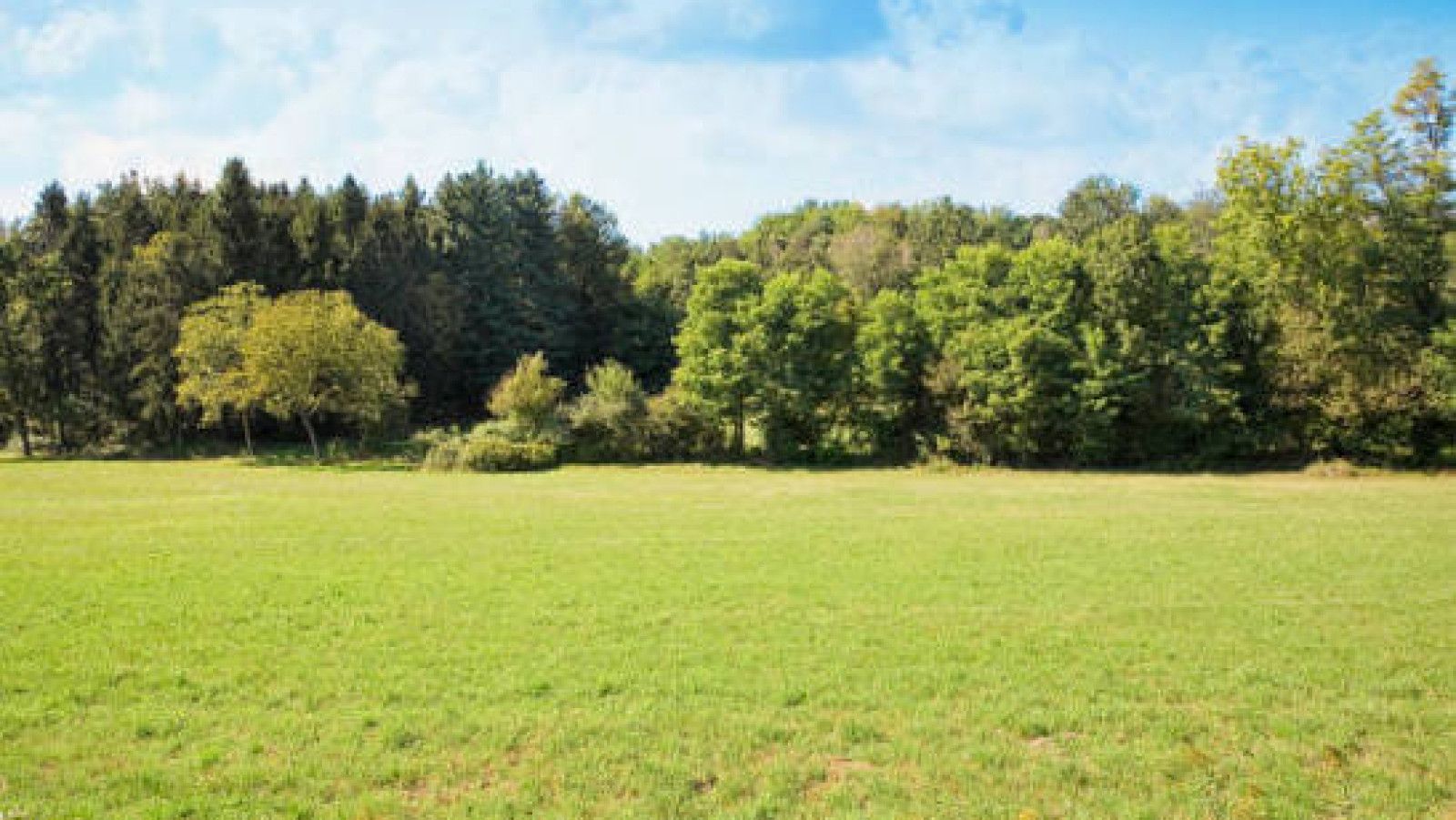 Terrain constructible de 550m2 à Bennecourt