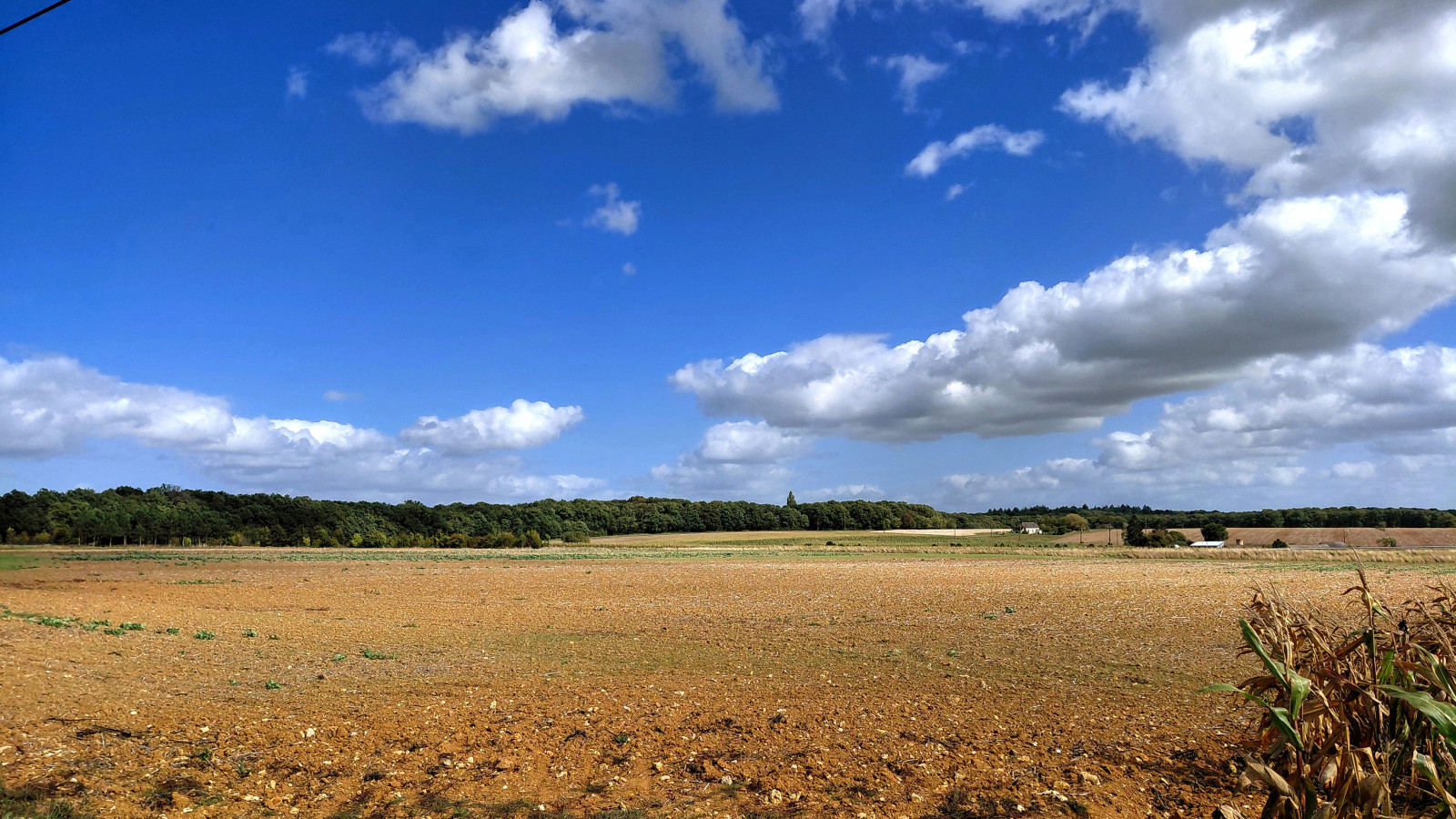 Terrain constructible de 819m2 à Richelieu