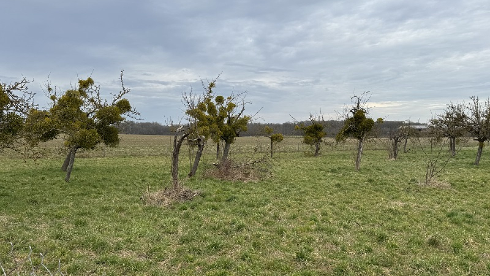 Terrain constructible de 404m2 à Bû