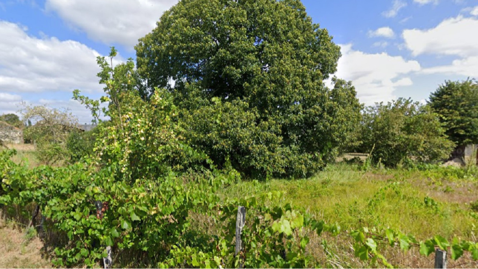 Terrain constructible de 800m2 à Châtellerault