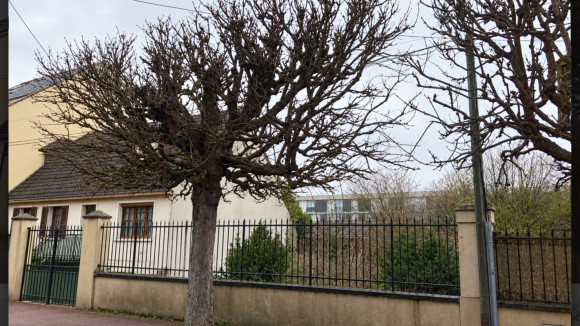 vigneux sur seine.jpg