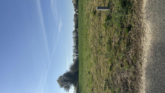 Lot 12 segré court pivert.jpg