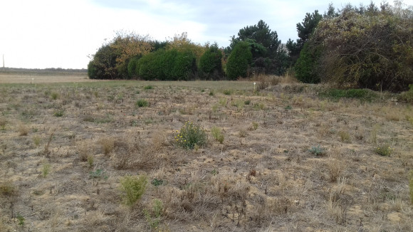 20181017_114351.jpg