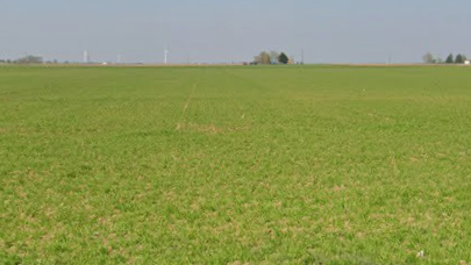 Terrain constructible de 576m2 à Sougy