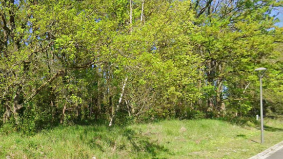{35E76494-0860-461C-A20D-ED8517A34D5A}.png