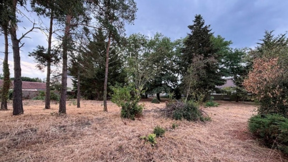 photo châtellerault.jpg