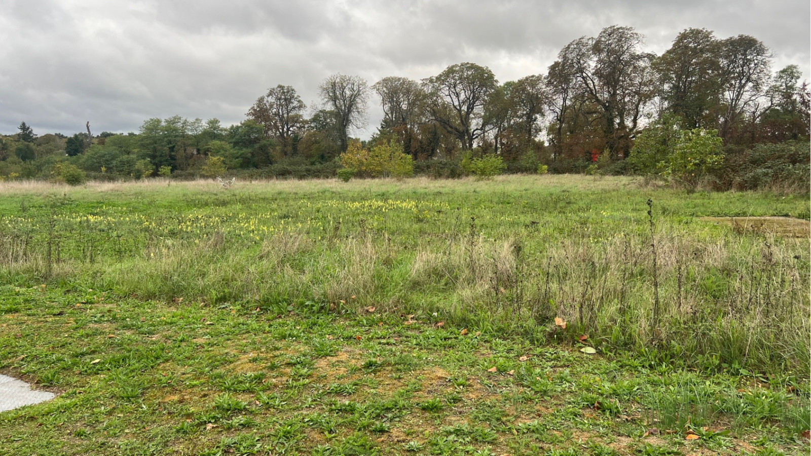 Terrain constructible de 469m2 à Rosny-sur-Seine
