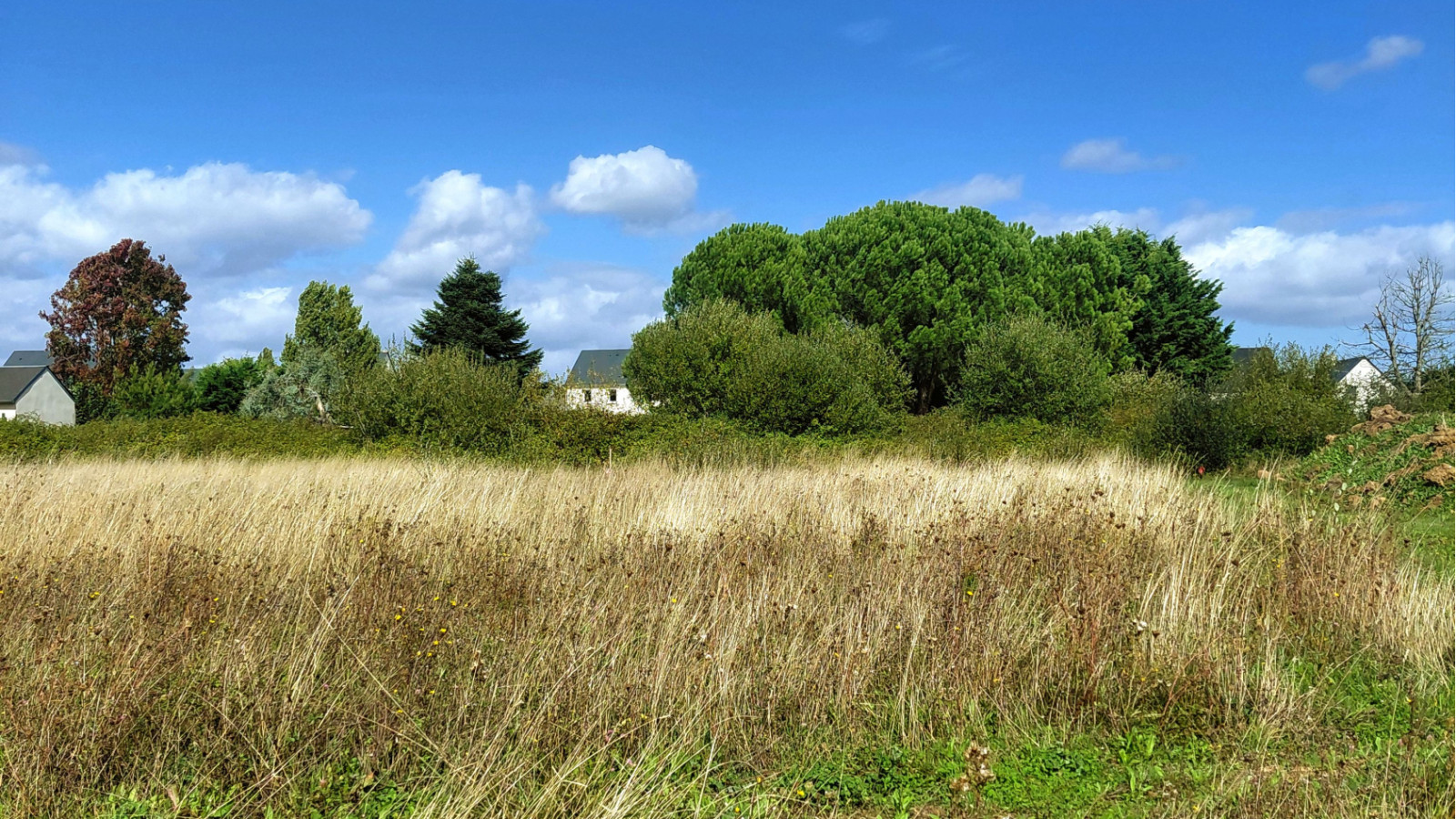 Terrain constructible de 445m2 à Villandry
